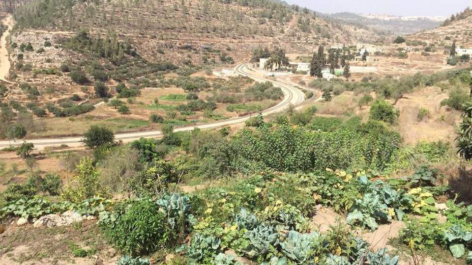 منطقة المخرور